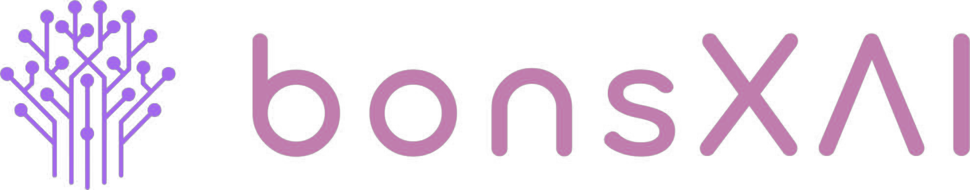 BonsXAI